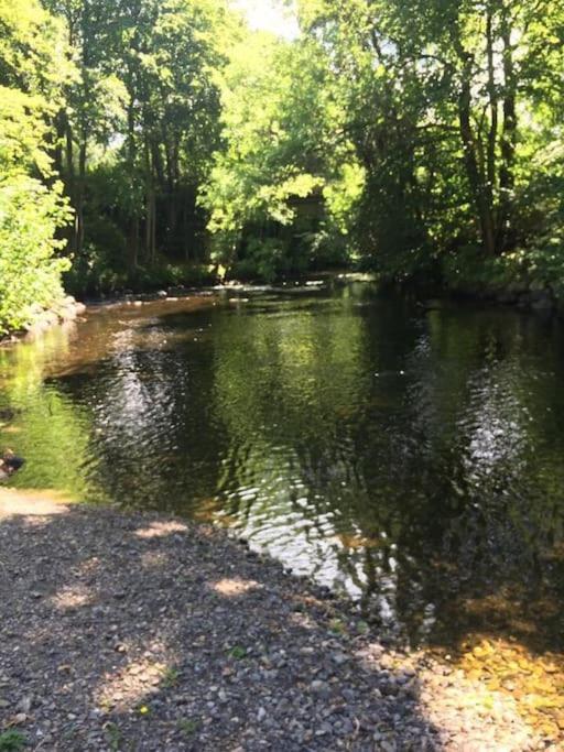 Stunning 3 Bed Riverside Cabin In Snowdonia Caeathro Exterior foto