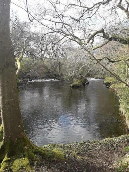 Stunning 3 Bed Riverside Cabin In Snowdonia Caeathro Exterior foto